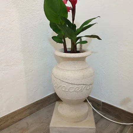 Bracera Apartment